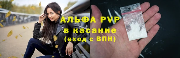 гашик Вязьма