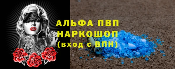 гашик Вязьма