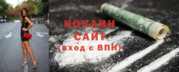 гашик Вязьма