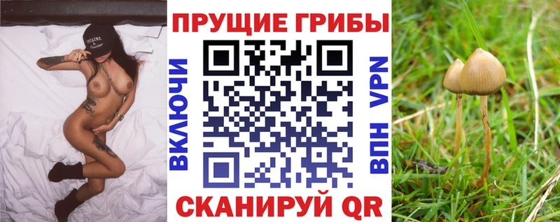 Псилоцибиновые грибы прущие грибы  Купить  Мелеуз 